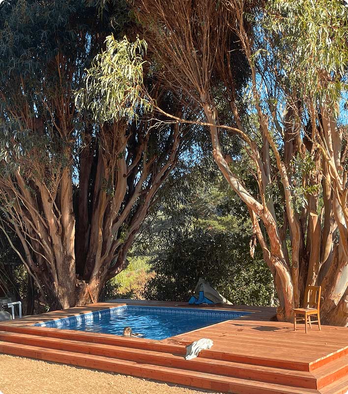 inground pool with wooden decking